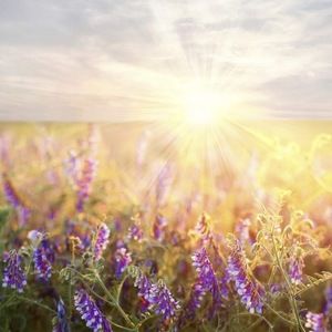 Meet your Posher, Serena